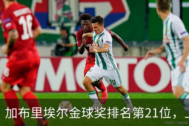 加布里埃尔金球奖排名第21位，上赛季英超17次零封为后卫最多