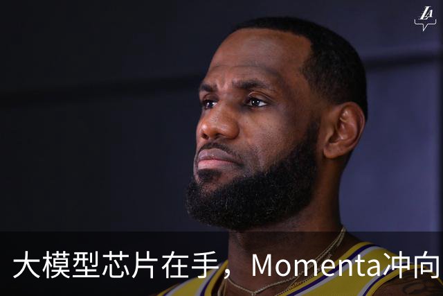 大模型芯片在手，Momenta冲向L4引爆点