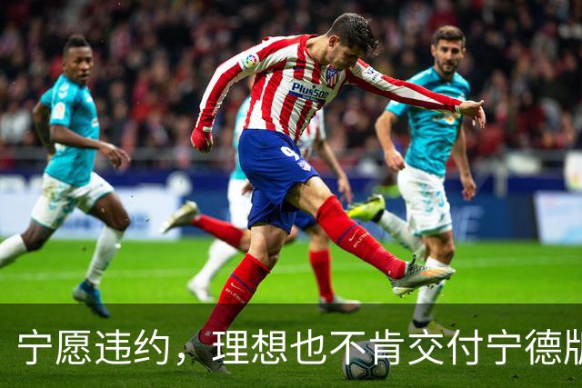 宁愿违约，理想也不肯交付宁德版MEGA？