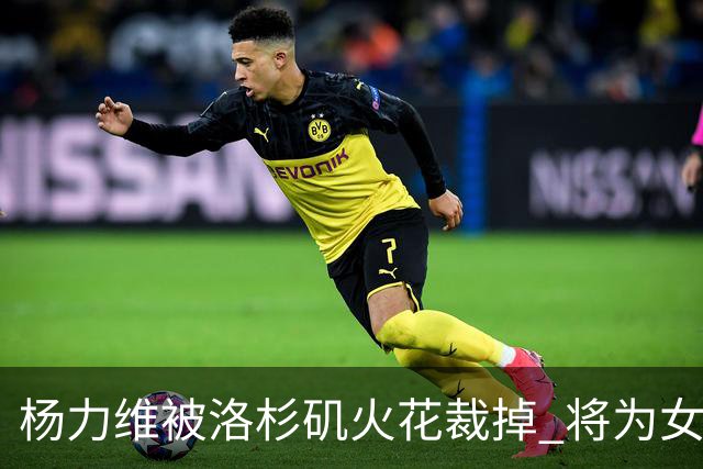 杨力维被洛杉矶火花裁掉 将为女篮争奥运门票