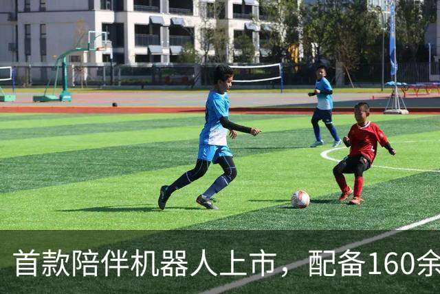 首款陪伴机器人上市，配备160余种交互姿势，或成下一个万亿风口